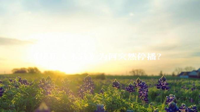 《快乐大本营》为何突然停播？