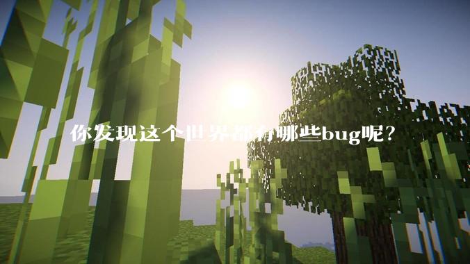 你发现这个世界都有哪些bug呢？