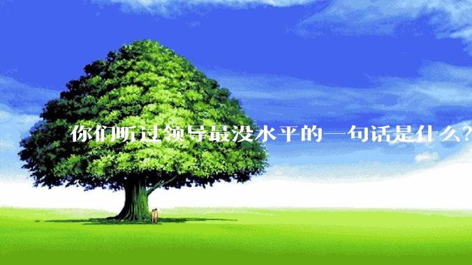 你们听过领导最没水平的一句话是什么？