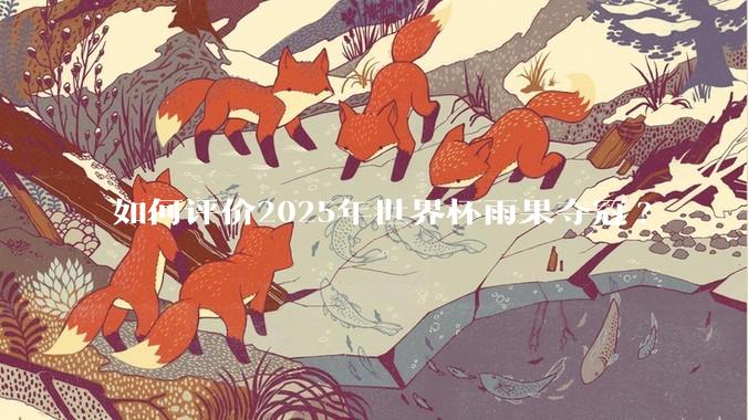 如何评价2025年世界杯雨果夺冠?