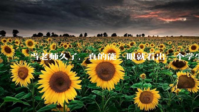 当老师久了，真的能一眼就看出一个学生聪不聪明吗？