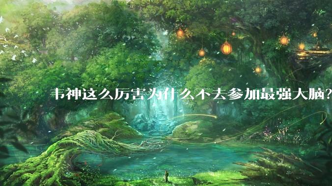 韦神这么厉害为什么不去参加最强大脑？