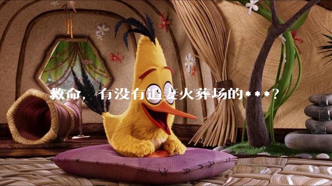 救命，有没有追妻火葬场的***？