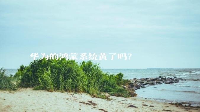 华为的鸿蒙系统黄了吗？