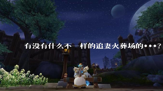 有没有什么不一样的追妻火葬场的***？