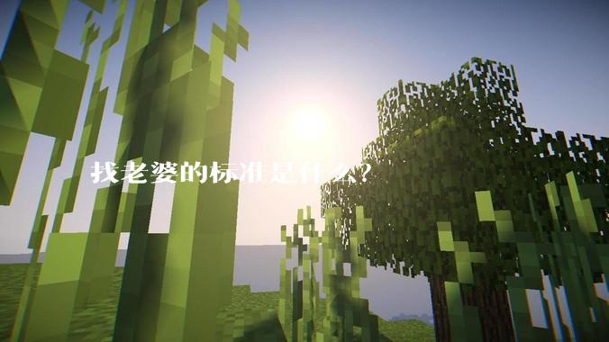 找老婆的标准是什么？