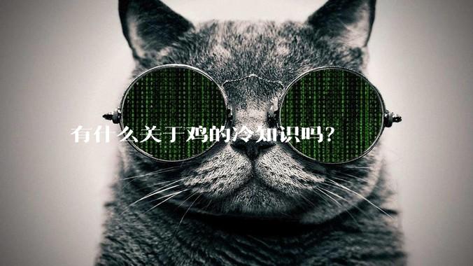 有什么关于鸡的冷知识吗？