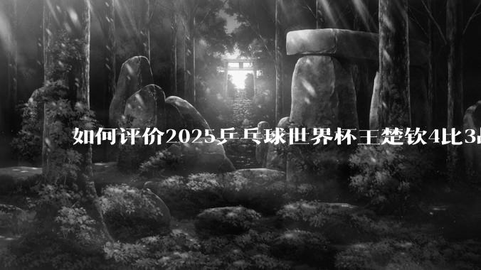 如何评价2025乒乓球世界杯王楚钦4比3战胜杜达这场比赛?