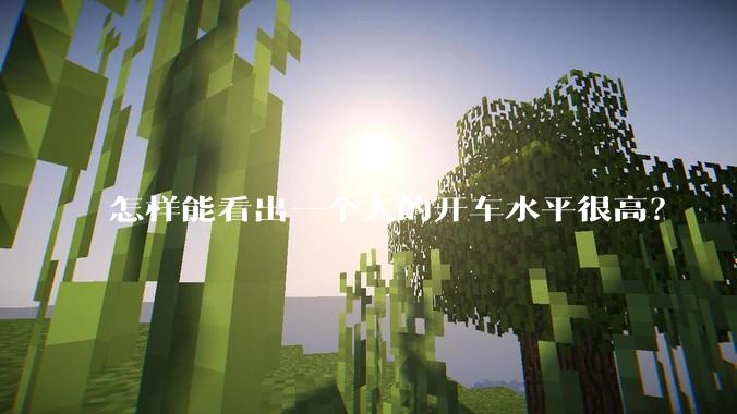 怎样能看出一个人的开车水平很高？