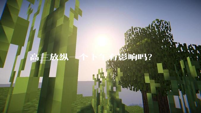 高三放纵一个下午有影响吗？