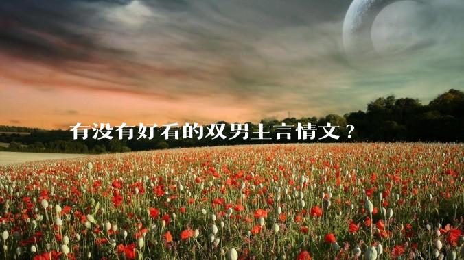 有没有好看的双男主言情文?