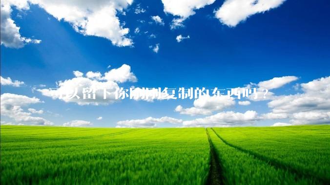 可以留下你刚刚复制的东西吗?